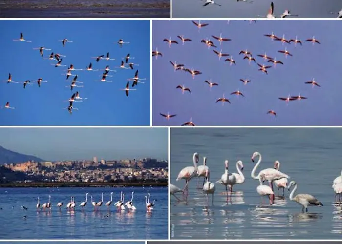 Al Corso Отель типа 