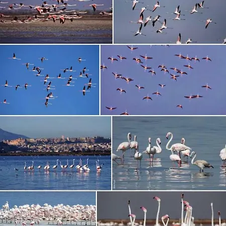 Al Corso Bed & Breakfast